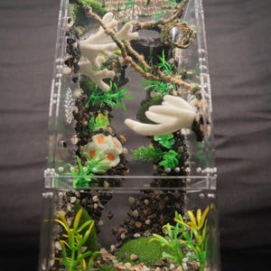 Jumping Spider Enclosures- White Coral Aquarium