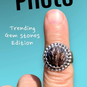 Puede incluir: Un anillo de plata con una piedra preciosa de &aacute;gata dendr&iacute;tica en blanco y negro. El anillo est&aacute; engastado en un engaste de bisel con un borde de cuentas. El anillo est&aacute; en un dedo.