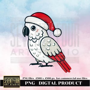 Papagaio de Natal PNG - Clipart de pássaro de Natal fofo com chapéu de Papai Noel para artesanato e cartões