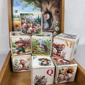Wooden Alphabet Blocks with Pictures, English ABC Learning Toy Set in Box, Original Gift for Kids, Room Decor for Toddlers and Preschoolers