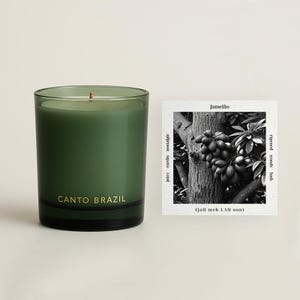 Fruity Jamelão - Java Plum | Luxury Scented Candle | Olive Oil & Coconut Wax Blend | 8 oz