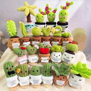 Planta de crochet hecha a mano con suculenta, cactus y aloe. Apoyo emocional. Regalo para amantes de las plantas. Regalo para ella, maestra, compañera de trabajo o equipo. Regalo de cumpleaños.