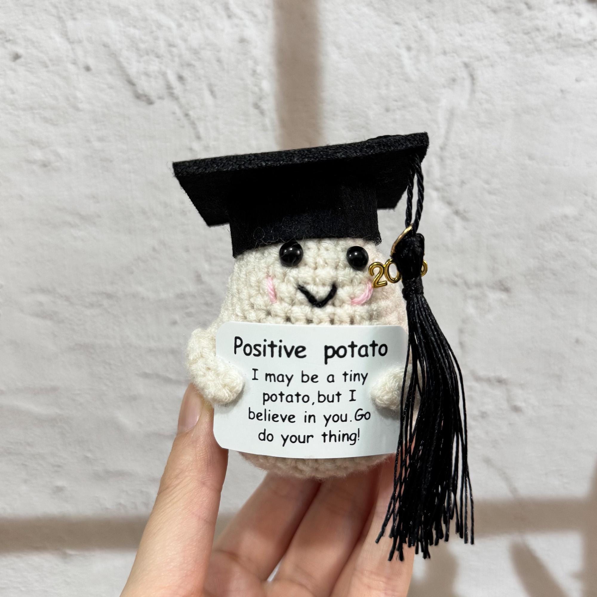 Graduating Cactus Handmade Crochet Graduation Doll,vegetable,cactus Succulent,emotional ...