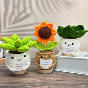 Crochet Sunflower/Aloe/Succulents Plants,Helping Me Grow,Office Desk Decor,Thank You Gift,Back to school,Boss day gift,Gifts For Coworker