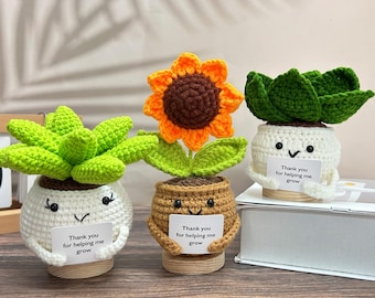 Crochet Sunflower/Aloe/Succulents Plants,Helping Me Grow,Office Desk Decor,Emotional Support Plants,Thank You Gift,Gifts For Friend/Coworker