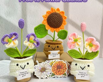 Cute Crochet Sunflower/Phalaenopsis Plants,Crochet Moth Orchid,Crochet Flower,Thank You Gift For Teacher/Coworker,Graduation Gift,Desk Decor