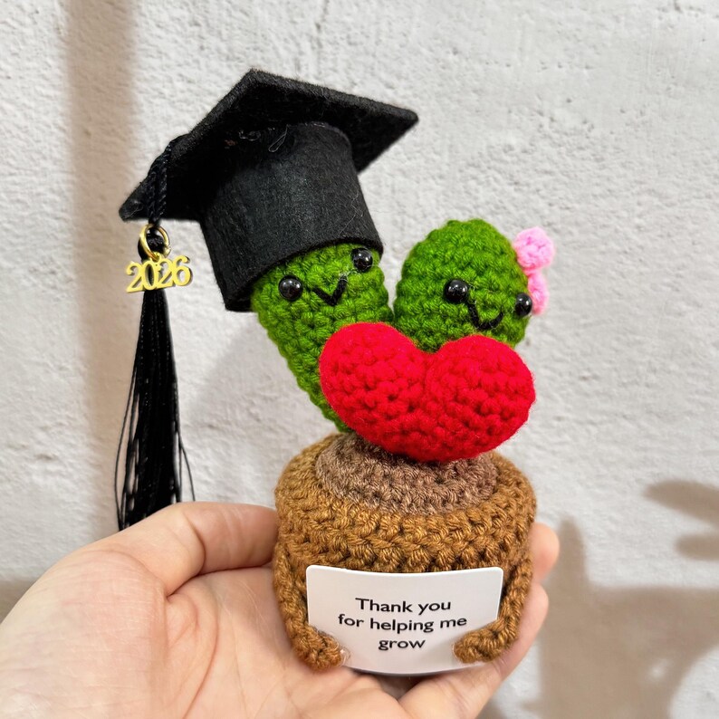 Graduating Cactus Handmade Crochet Graduation Doll,vegetable,cactus Succulent,emotional ...