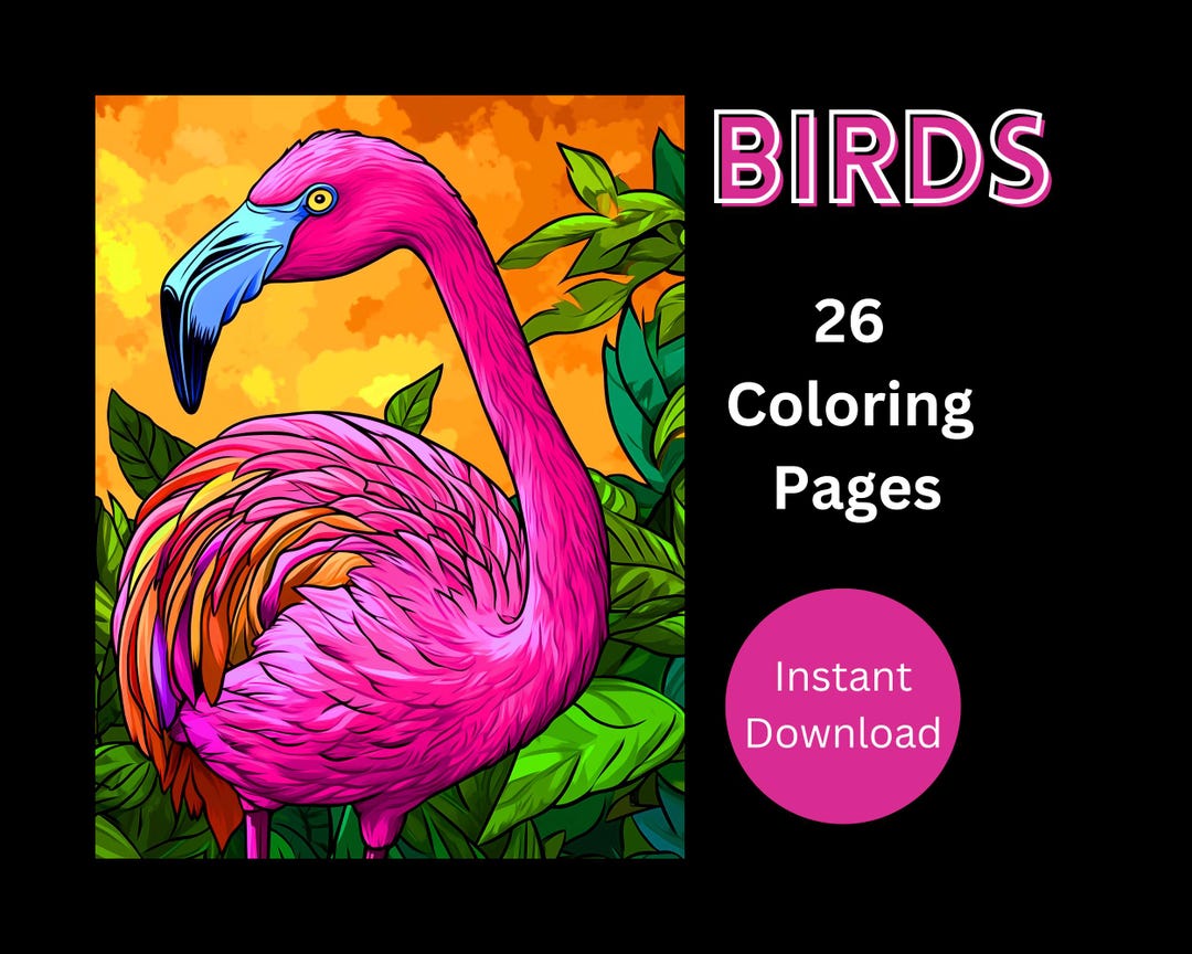 Birds Coloring Pages - 26 Printable Instant Download - Beautiful Bird ...