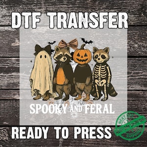 Retro Spooky and Feral Raccoon DTF Transfer, Funny Halloween Raccoon Ready To Press DTF, Pumpkin Raccoon Shirt Iron On, Spooky Season Print