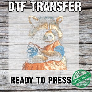 Resting Pumpkin Face Raccoon DTF Transfer Ready to Press, Cute Grumpy Halloween Animal Heat for Shirts, Retro Autumn Sketch DIY Print Film