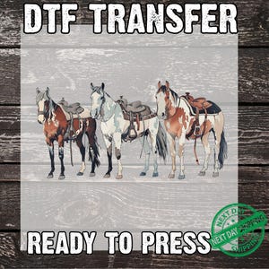 3 Paint Horses DTF Transfer, Horse Ready to Press, T-shirt Transfers, Paint Horse Heat Transfer, Direct to Film, 3 Paint Horses Transfer