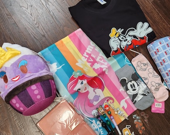 Disney Princess Inspired Mystery box (Stationery)