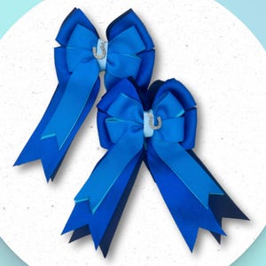 Blue Equestrian Show Bows: Horseshoe Charm, Personalized Option