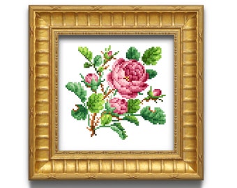 Old rose. Cross stitch pattern. Instant download PDF.