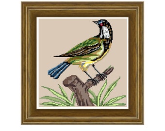 Birds – Mesange Charbonnière - cross stitch pattern. Instant download PDF