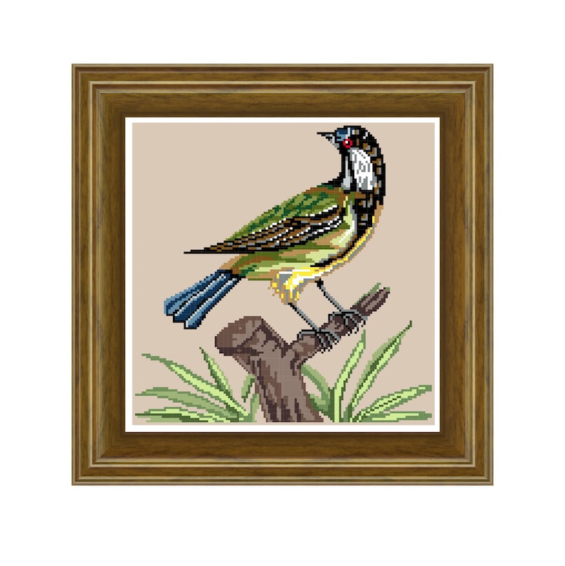 May include: A framed cross-stitch embroidery of a green and yellow bird with a blue tail perched on a branch with green leaves.