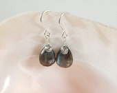 Labradorite and Sterling Silver Earrings