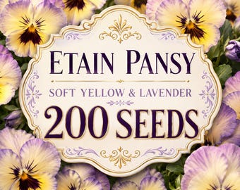 200 Etain Pansy Seeds | Soft Yellow & Lavender Viola Flower Seeds | Fragrant Perennial Garden Blooms