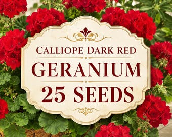 25 Calliope Dark Red Geranium Seeds | Pelargonium Flower Seeds for Garden, Patio Pots & Containers