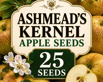 Ashmeads kärnäppelfrön | Plantering av kulturarvsfruktträd (25 frön)