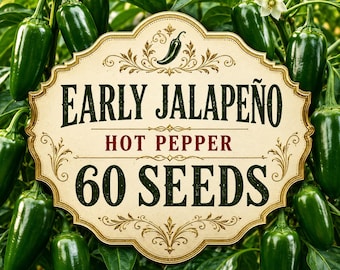 Heirloom Early Jalapeño Hot Pepper Seeds | 60 Non-GMO Planting Seeds