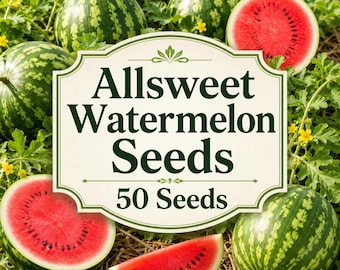 Allsweet Wassermelonensamen, alte Sorte, gentechnikfrei, knackiges rotes Fruchtfleisch (50 Samen)