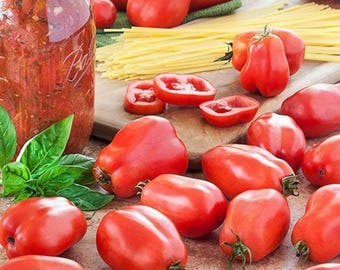 60 San Marzano Tomate Samen | Heirloom Non-GMO Tomatensamen für die Gartenbepflanzung