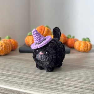 May include: A small, round, black crocheted cat plushie featuring a textured, fuzzy yarn finish, a tiny pink stitched nose, and a pointed purple crocheted witch hat with a dark band, positioned among several small, orange crocheted pumpkins.