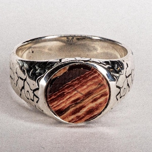 Op de afbeelding: Een zilveren ring met een ronde, gestreepte bruine steen in het midden. De ringband heeft een getextureerd, gebarsten patroon. De steen heeft een roodbruin en beige kleurenschema. De ring staat tegen een lichtgrijze achtergrond.