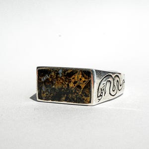 May include: A silver ring with a rectangular brown and black stone set in the center. The band of the ring is decorated with a snake design.