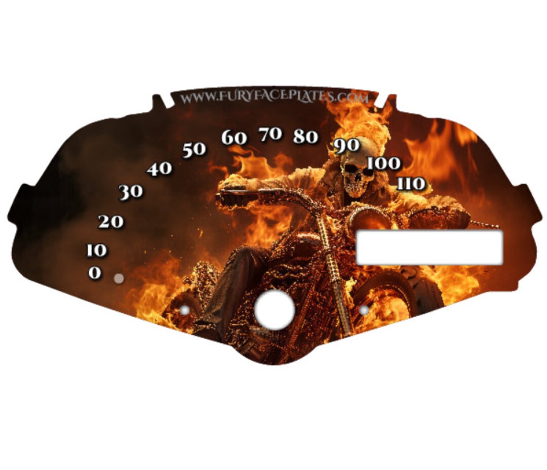 Ghost Rider Custom Speedometer for the Honda Fury VT1300 - Etsy