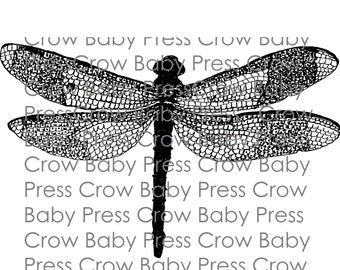 From Original Art instant download Printable Dragonfly Drawing Instant Download Digi Stamp Clip Art for Handmade Projects