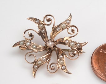 Spiral (Galaxy) Brooch:  12k gold, seed pearls
