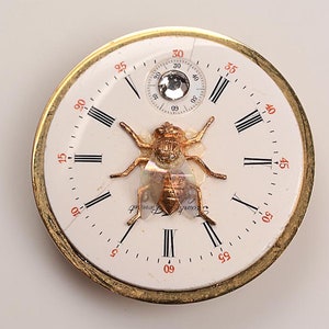 May include: A gold pocket watch with a white face and black Roman numeral hour markers. A gold fly with clear wings is positioned on the face of the watch.