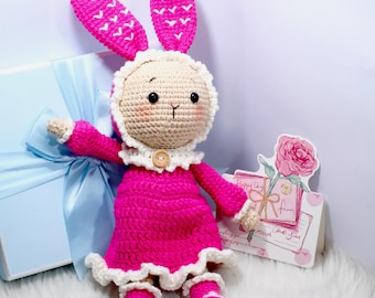 Benutzerdefinierte Kaninchen, gekleidet Häschen Spielzeug, häkeln Amigurumi Häschen Puppe, benutzerdefinierte Name Spielzeug, personalisierte Geburtstagsgeschenk, Plushie Osterhase