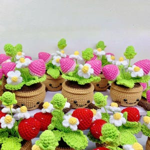 May include: A selection of crocheted strawberry plants in smiling brown pots. The strawberries are pink and red, with green leaves and white flowers. The pots have a smiling face.