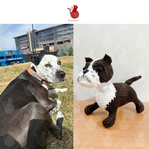 Häkeln Haustier Erinnerung, Fertig Gehäkelte Basis Haustier Häkeln, Benutzerdefinierte Häkeln Hund, Katze Vom Foto, Personalisierung Amigurumi Häkeln Haustier