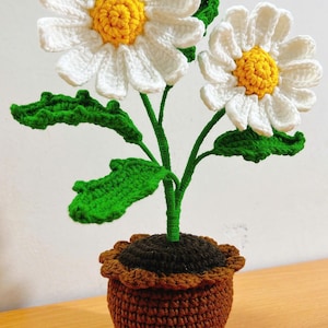 Crochet White Daisy, Handmade Daisy  in Pot, Housewarming Gift, Desk Decoration, Handmade Flower, Crochet Daisy Lover, Mother&#39;s Day Gift