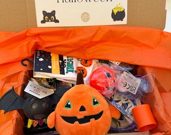 Caja de regalo Fidget de Halloween para niños más pequeños