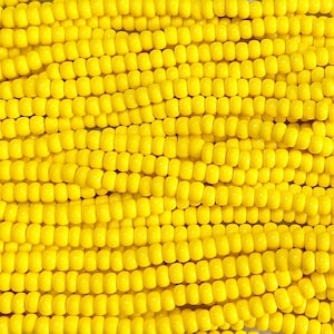 1/0 Opaque Light Yellow Czech Glass Seed Beads - 20 Inch Strand (1BW304)