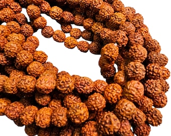 11mm to 14mm Rudraksha Tree Seed Beads - 44 Inch Strand  (AW38)