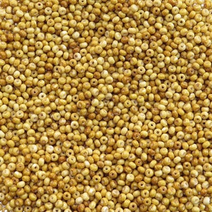 6/0 Opaque Light Sandstone Picasso Czech Glass Seed Beads 20 Grams (6CS402)