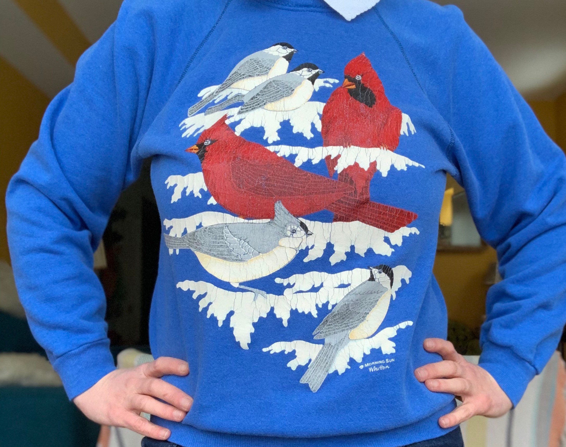 JDey Vintage 80s 90s Cardinals Snow Birds Wintery Pullover Sweatshirt with Attached Collar by Morning Sun