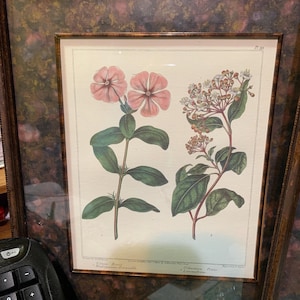 Bombay Company Framed Art - Etsy