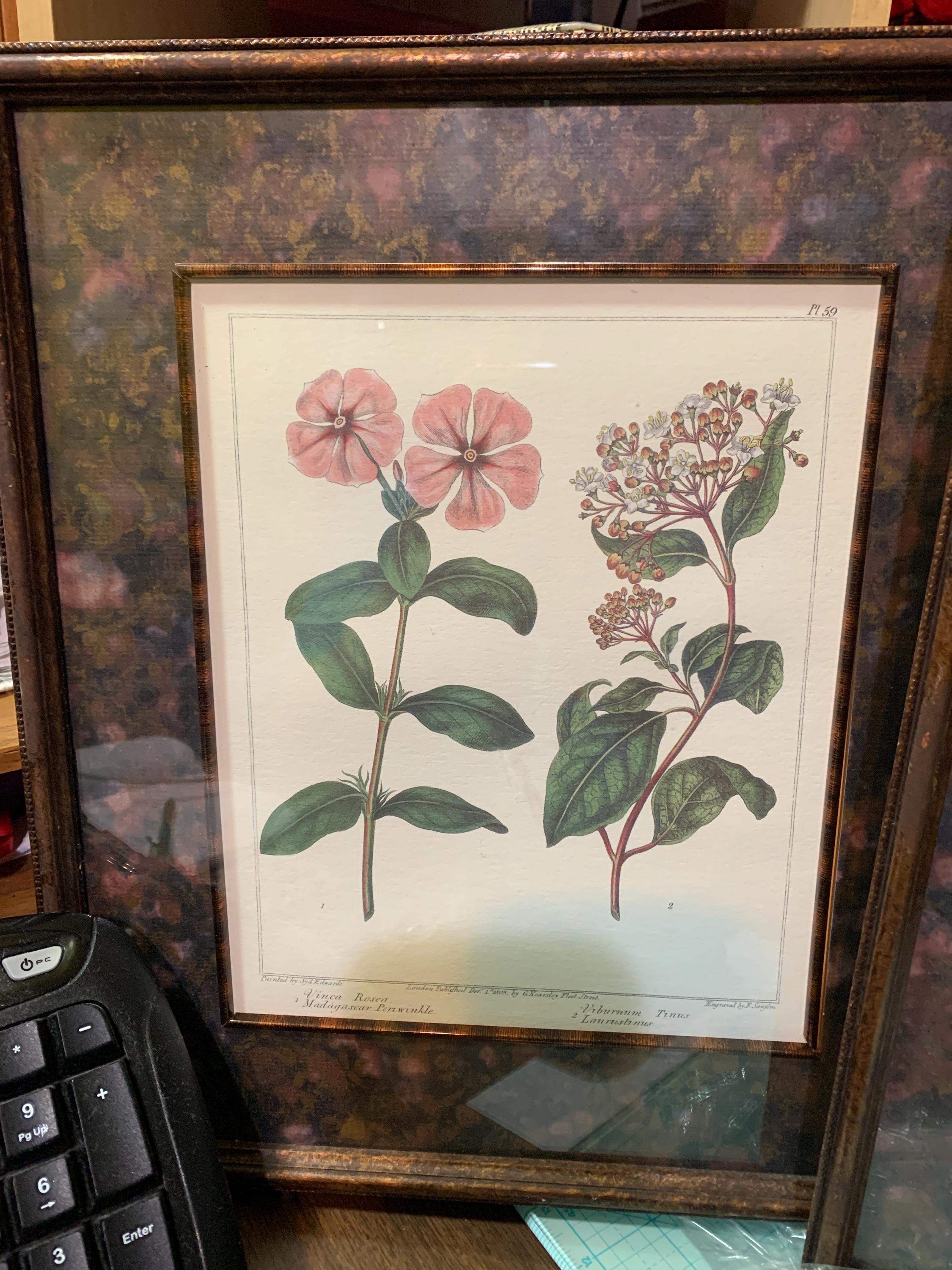 Bombay Company Framed Art - Etsy