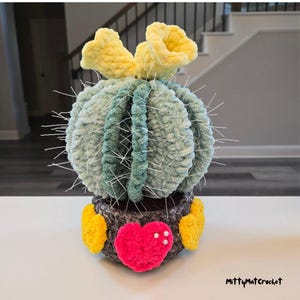 Prickly Cactus Crochet Pattern- Amigurumi PDF plant plushie, fun, mittymatcrochet