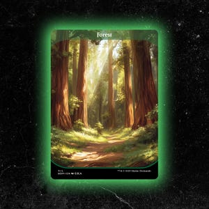 May include: A fantasy art card featuring a forest scene with tall trees and a path. The word "Forest" is at the top. The card has a green border and the text "S+L MDP EN G.K.A" at the bottom.