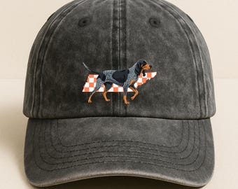 Tennessee Smokey | Vintage-Style Embroidered Hat