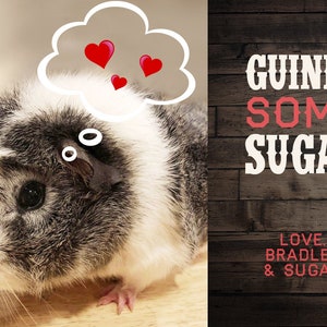 BENUTZERDEFINIERTE HAUSTIER Hund Katze Meerschweinchen Fehler Valentinstag Karte • Ich Wuff Dich • Du und Miau • Kinder Klasse Valentinstag druckbar • Kind Schule Valentinstag