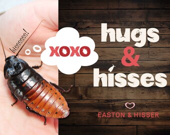 CUSTOM PET Bug Spider Snake Perro Gato Guinea Pig Valentine Card • Niños Clase Valentine Imprimible • Escuela infantil Valentine * Imprimible